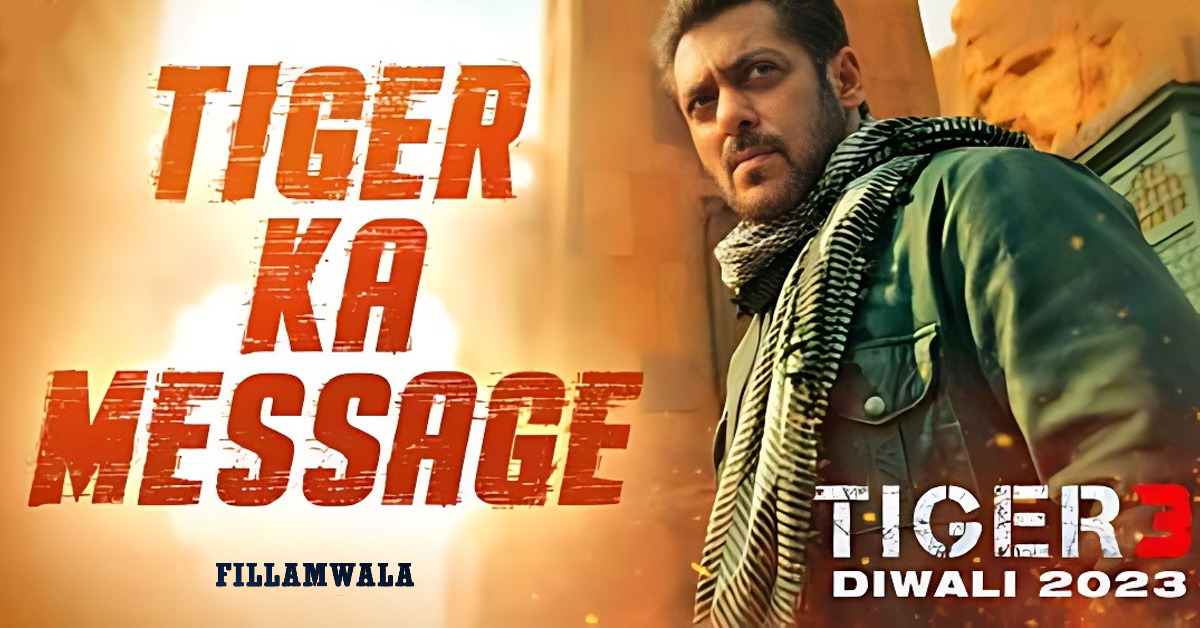 Tiger 3 Teaser Unveiled: Salman Khan's 'Tiger' Seeks Validation from India